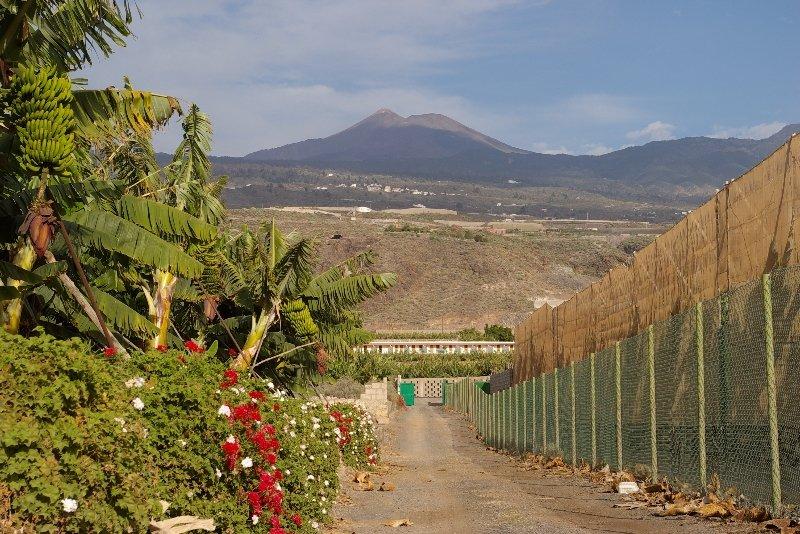 Hotel Rural El Navio - Adults Only Алькала Экстерьер фото