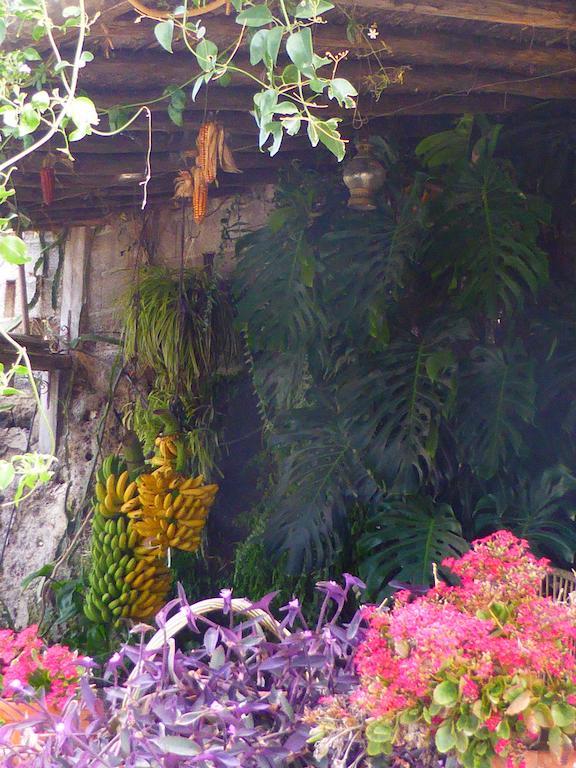 Hotel Rural El Navio - Adults Only Алькала Экстерьер фото